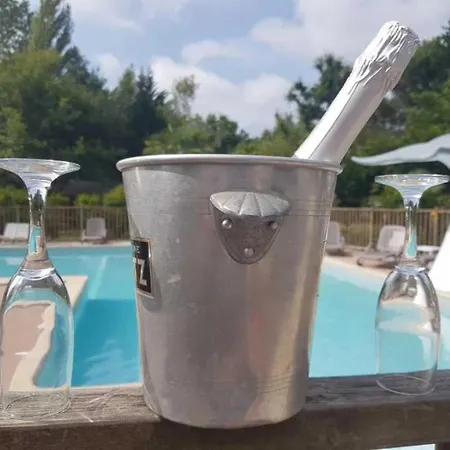 Campeggio ZEcamping 4 étoiles à 5km de la plage piscine chauffée toboggans dog friendly *
